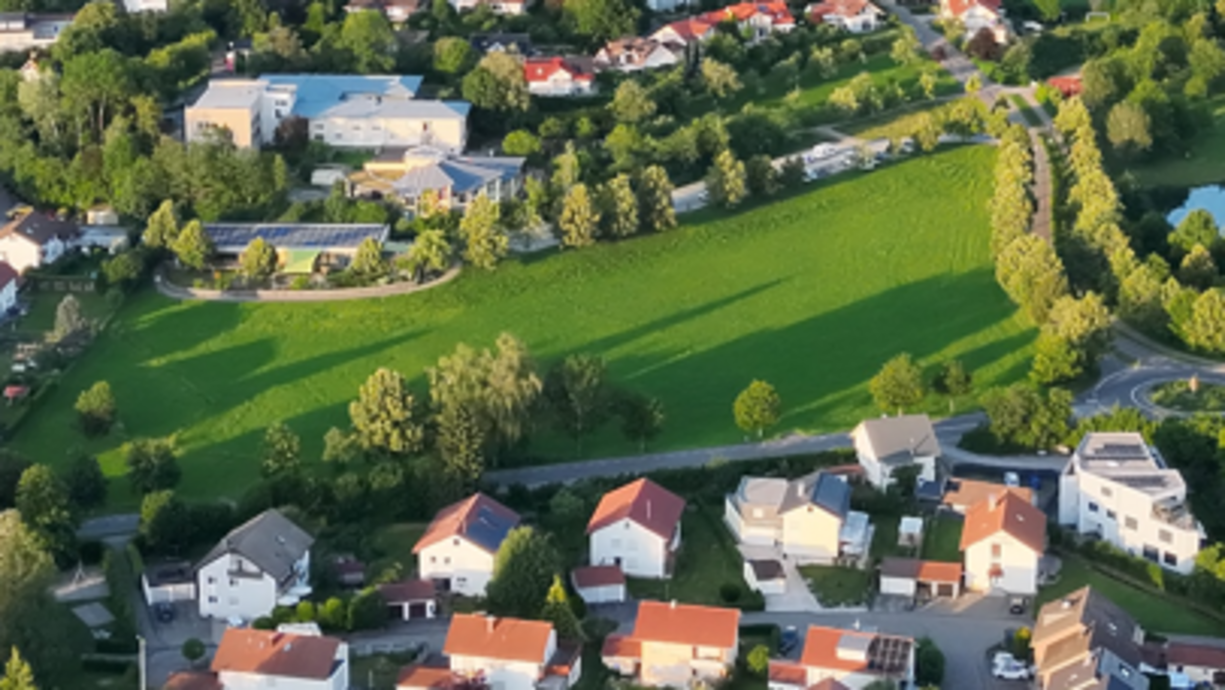Amanns Wiese - Ausschnitt